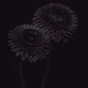 Meet your Posher, Bryana